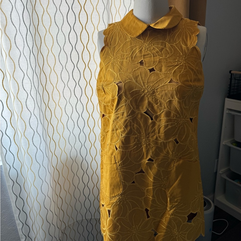 Fervour mod like dress